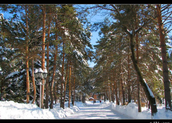 Парк в Шмаковке, Россия. Фото 1 – фотографии России
