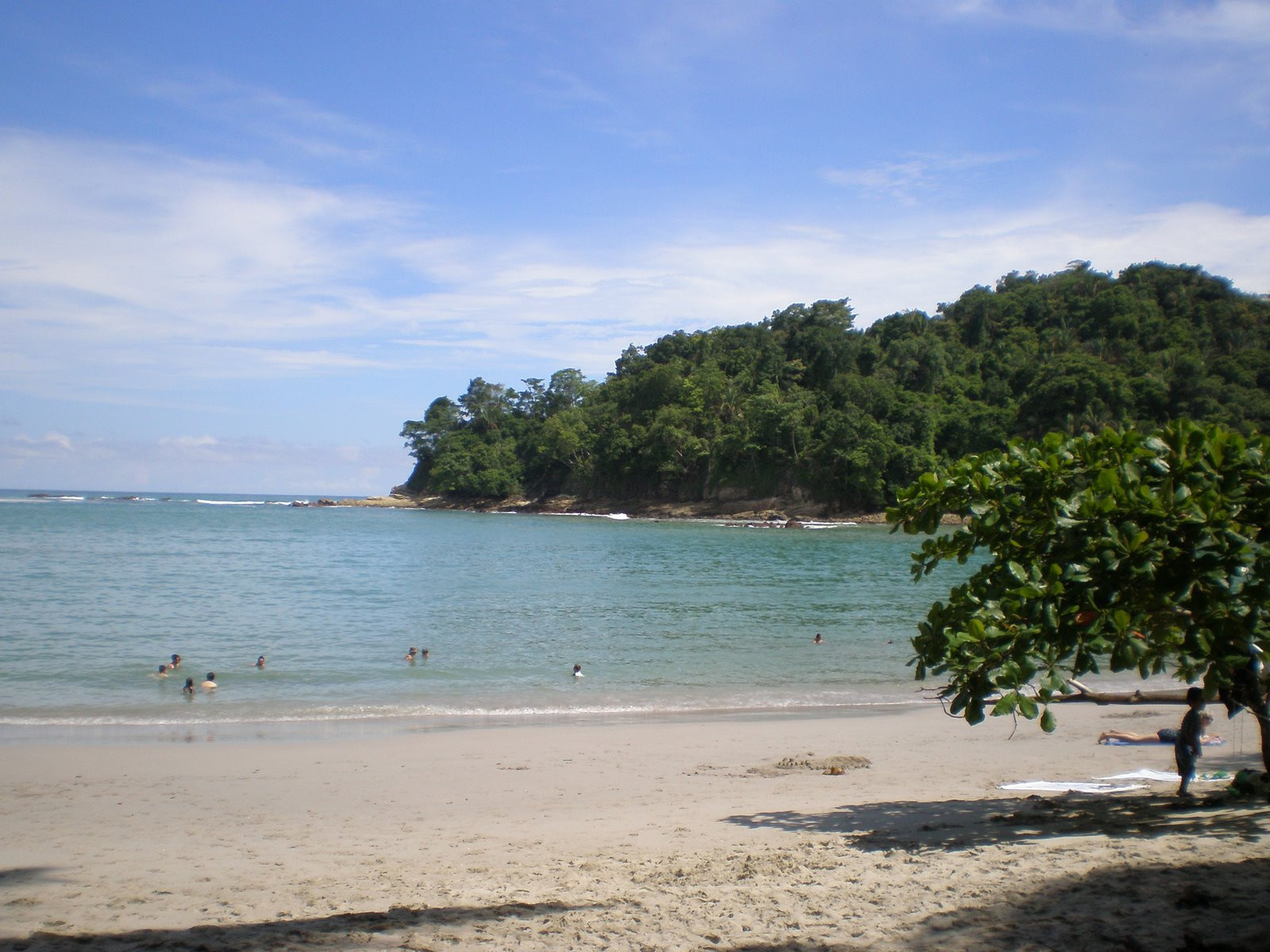 Мануэль Антонио, Пунтаренас провинция, Коста-Рика, фото № 40624 – фотографии Коста-Рики