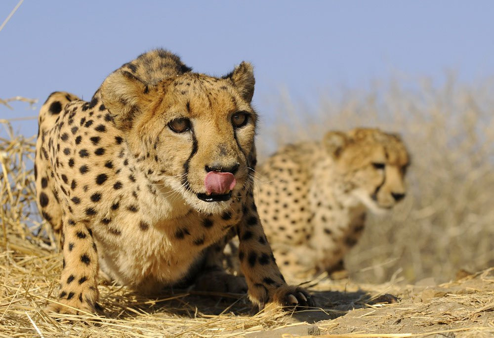 Намибия, фото № 5597 – фотографии Намибии