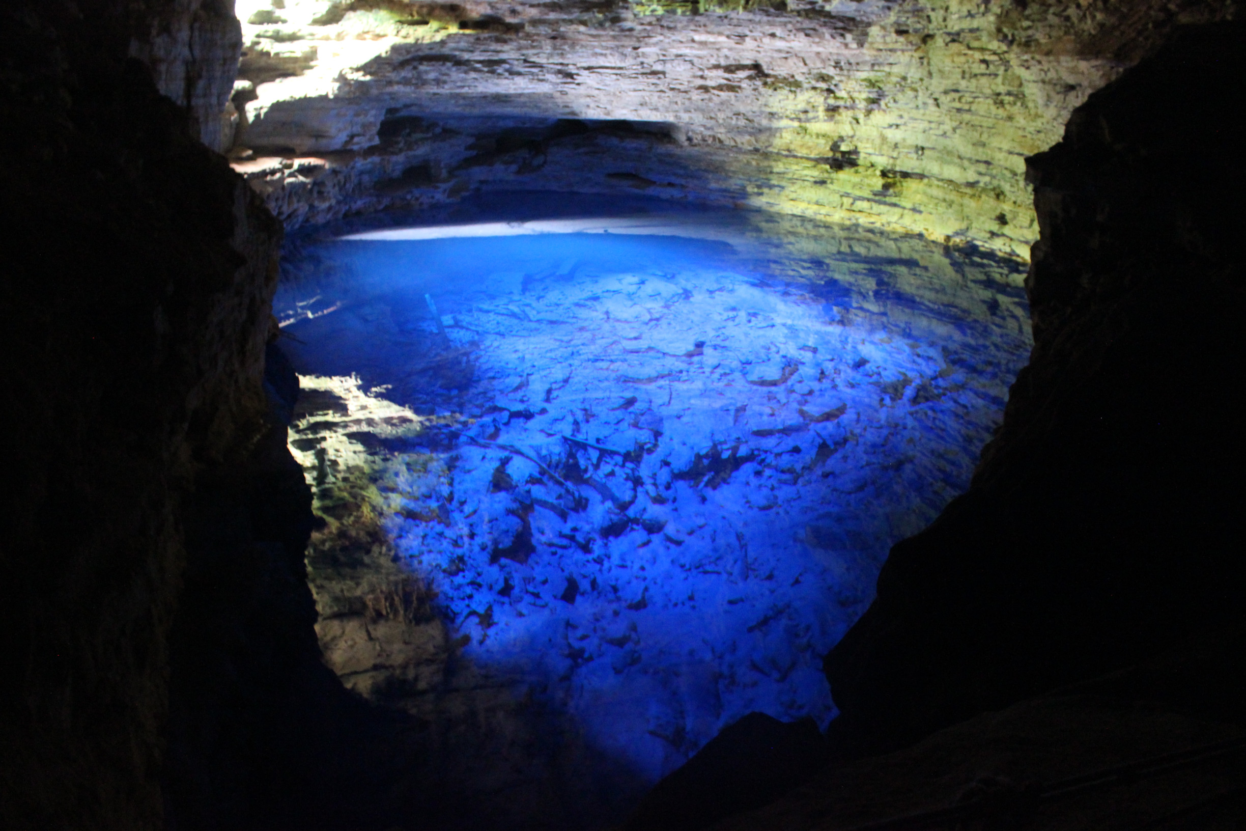 Иногда пещеру Зачарованный колодец посещают лягушки и змеи – фотографии Бразилии