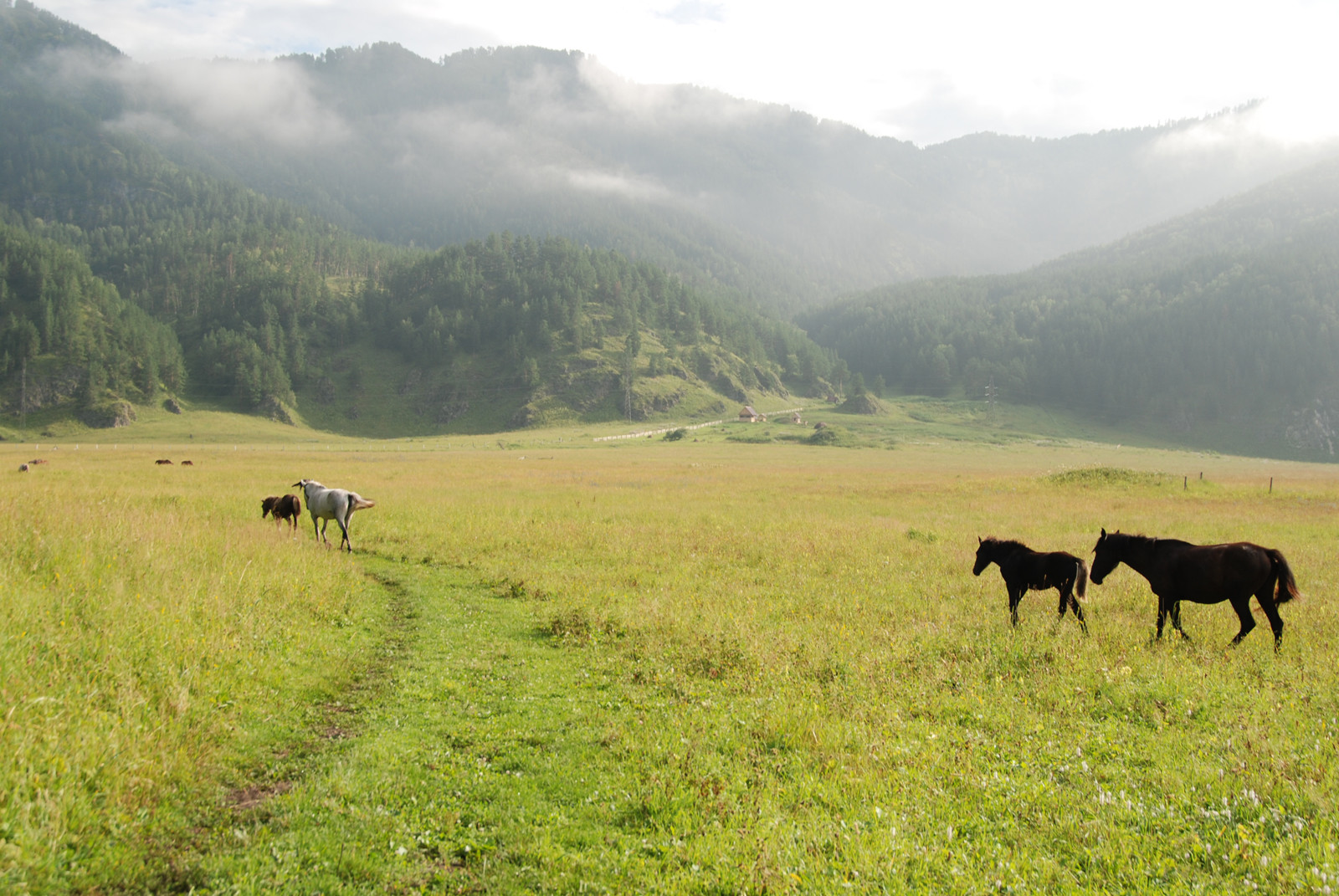 Горный Алтай. Фото 1 – фотографии России