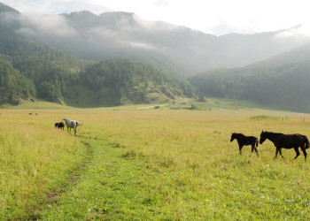 Горный Алтай. Фото 1 – фотографии России