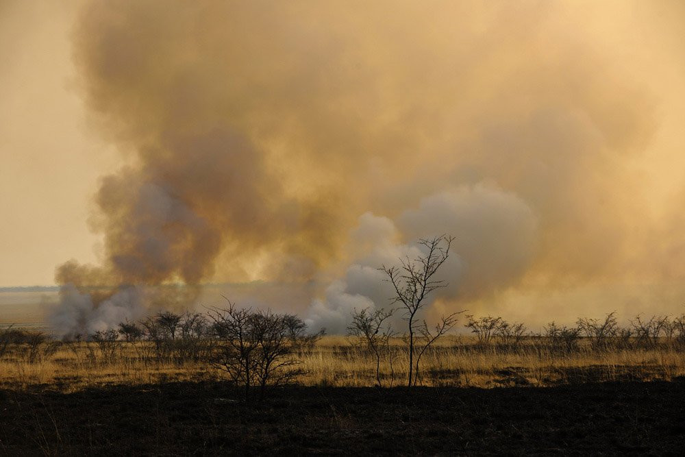 Namibia пожар – фотографии Намибии