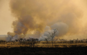 Namibia пожар – фотографии Намибии