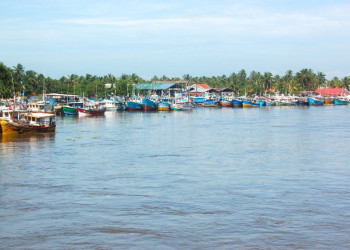 Шри-Ланка, фото № 1143 – фотографии Шри-Ланки