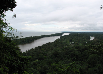 Тортугеро Национальный парк, Лимон провинция, Коста-Рика, фото № 40378 – фотографии Коста-Рики