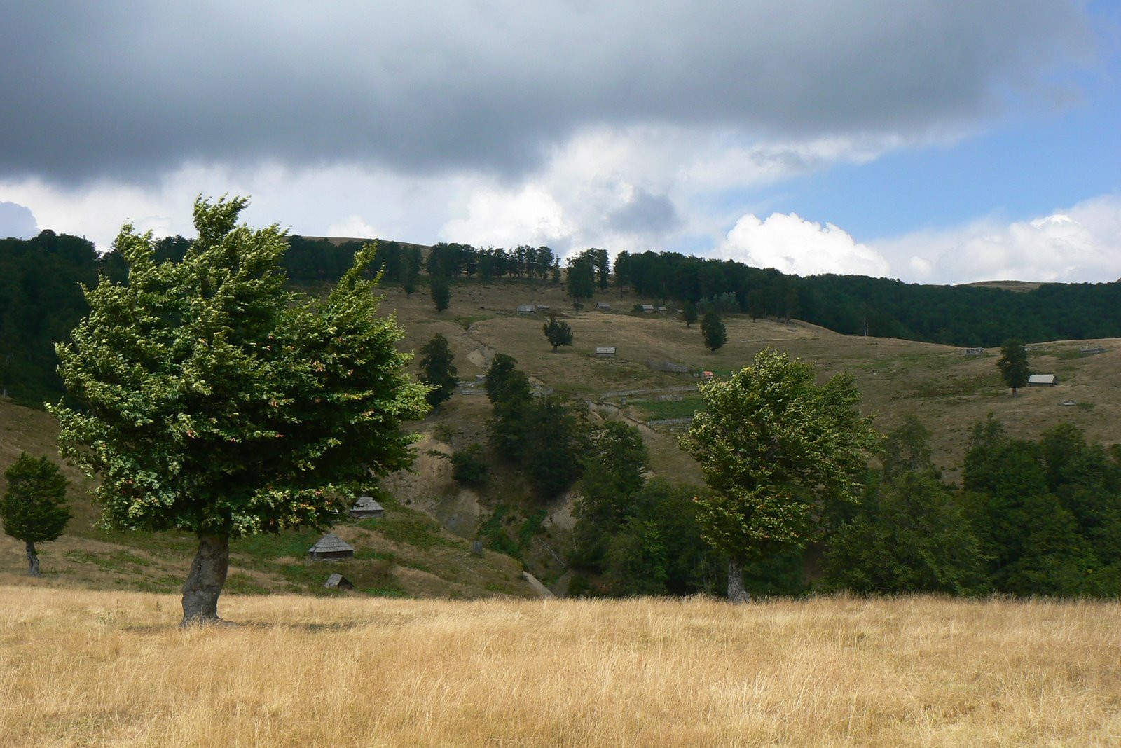 Природа Национального парка, Черногория. Фото 24 – фотографии Черногории