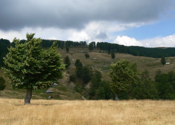Природа Национального парка, Черногория. Фото 24 – фотографии Черногории