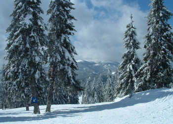 Природа в Пампорово, Болгария. Фото 18 – фотографии Болгарии