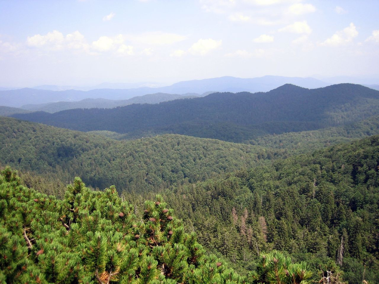 Природа в Рисняк, Хорватия. Фото 21 – фотографии Хорватии