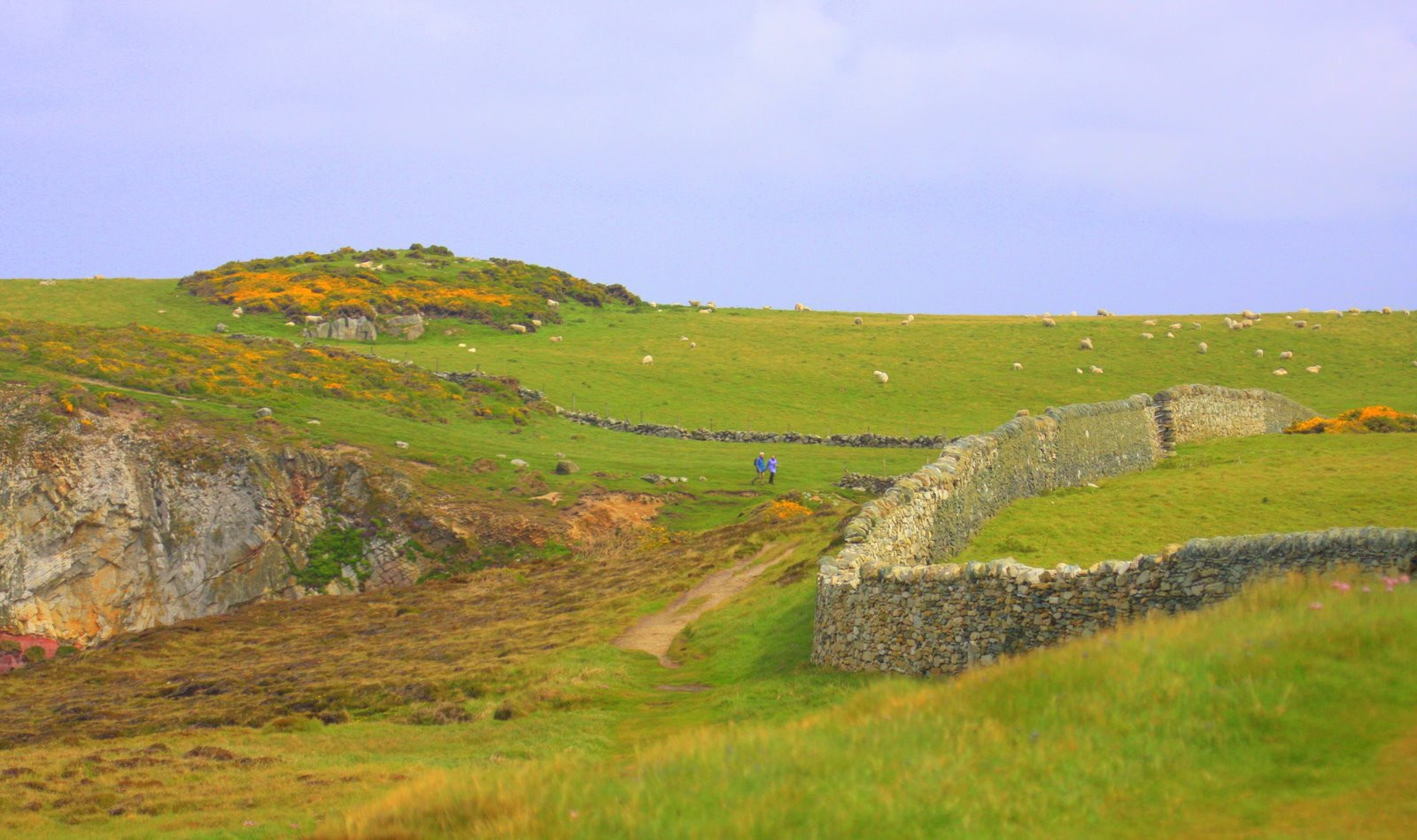 Уэльс, Великобритания, фото № 67893 – фотографии Великобритании