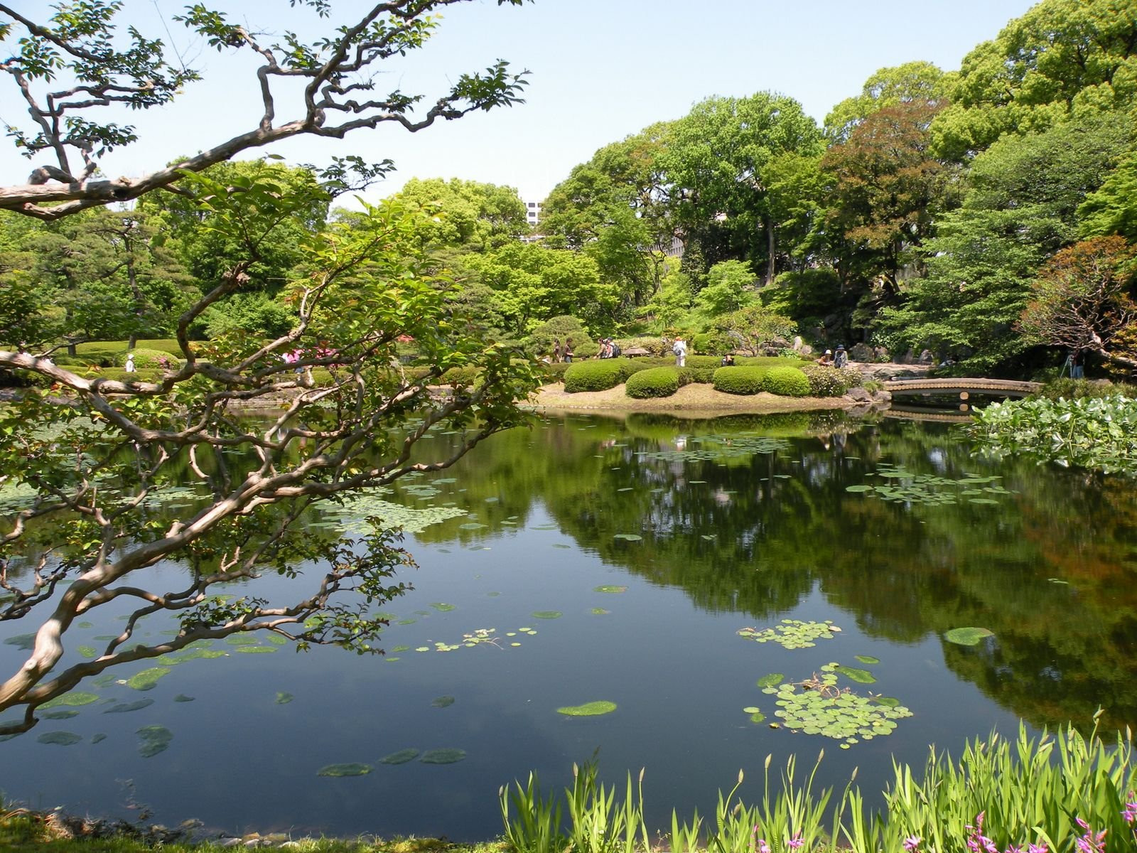 Tokyo – фотографии Японии