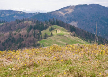 Украина, фото № 1888 – фотографии Украины