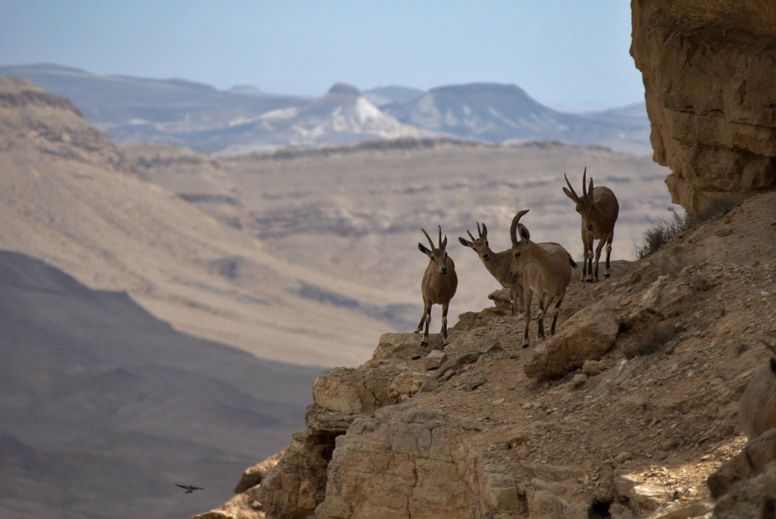 Израиль, фото № 1629 – фотографии Израиля