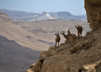 Израиль, фото № 1629 – фотографии Израиля