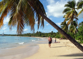 Пляж Лес-Салинес (Les Salines) на Мартинике – фотографии Мартиники