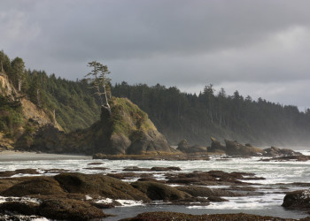 Пляж Ши-Ши в Национальном парке Олимпик. США. Фото 3 – фотографии США