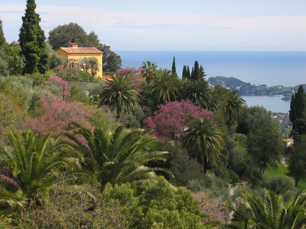 Природа в Сен-Жан-Кап-Ферра, Франция. Фото 1 – фотографии Франции