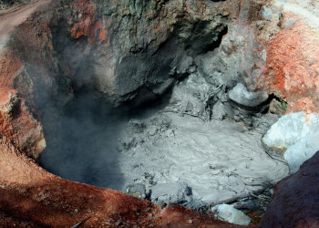 Ринкон де ла Виеха Национальный Парк, Гуанакасте провинция, Коста-Рика, фото № 39255 – фотографии Коста-Рики