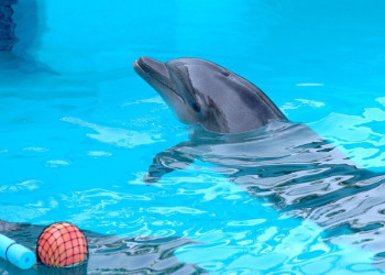 Мексика, фото № 964 – фотографии Мексики