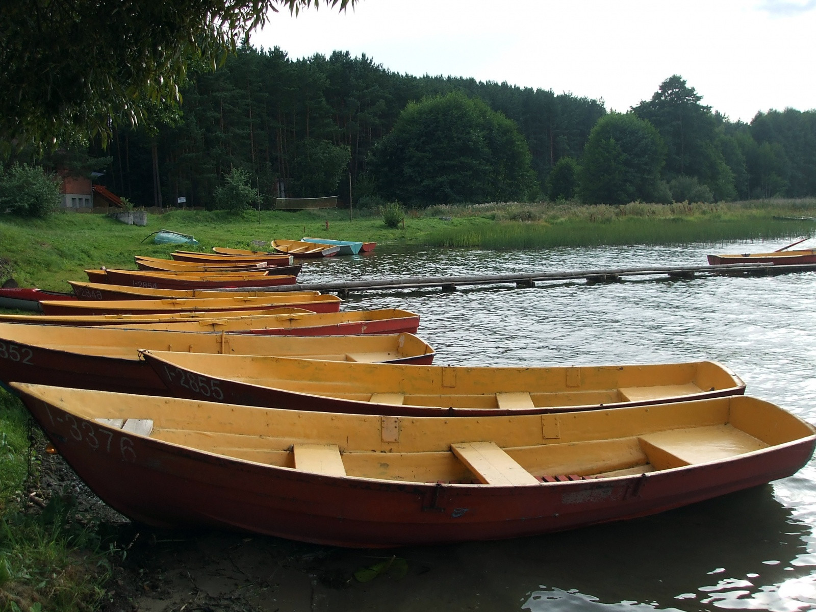 Окрестности Палуше – фотографии Литвы