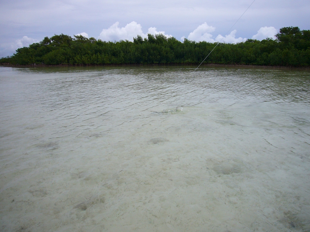 Море на острове Маягуана, Багамские острова. Фото 6 – фотографии Багамских островов