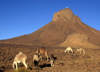 Нагорье Ахаггар – фотографии Алжира
