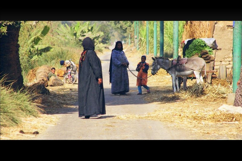 Луксор, Египет, фото № 35264 – фотографии Египта