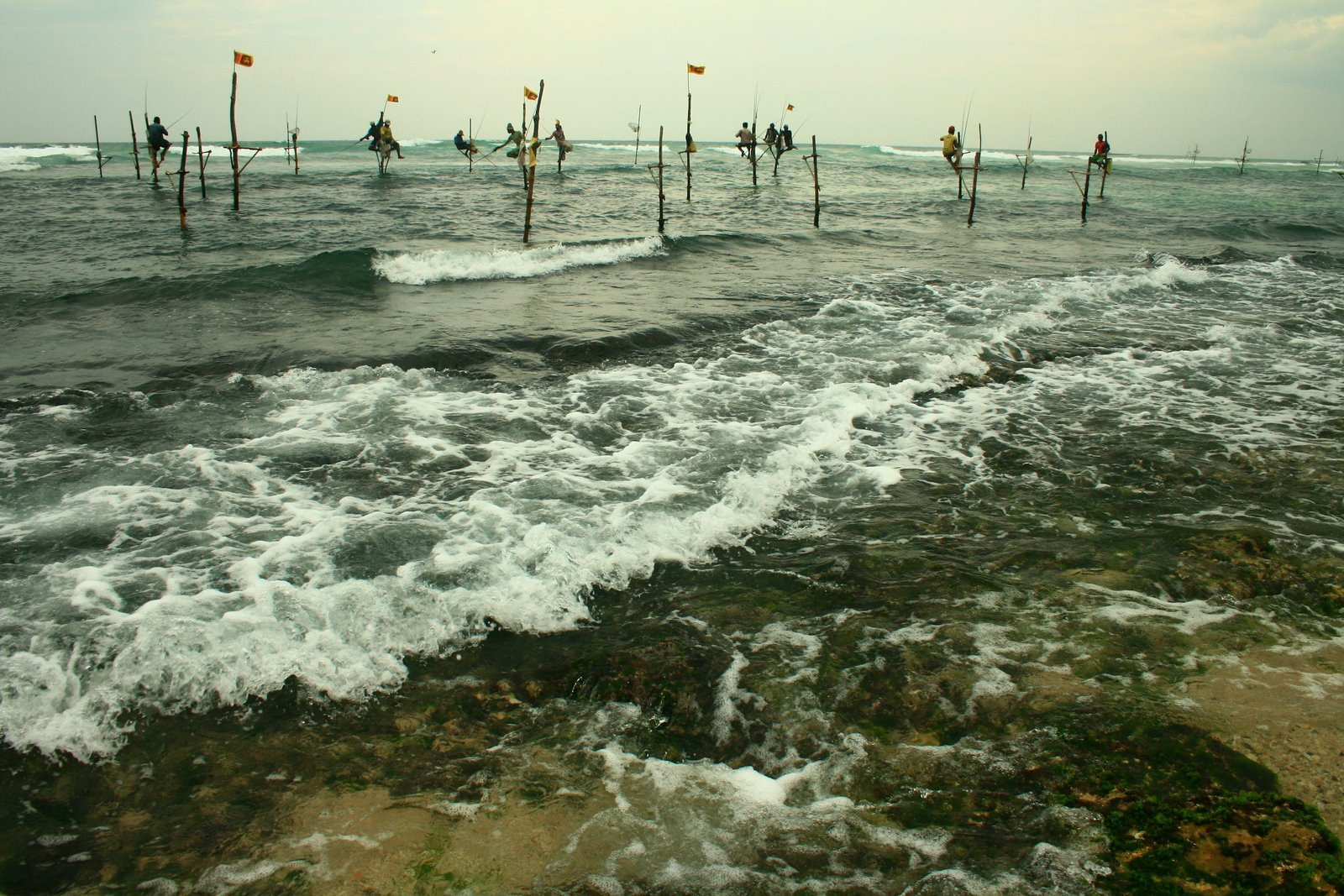 Шри-Ланка, фото № 2454 – фотографии Шри-Ланки