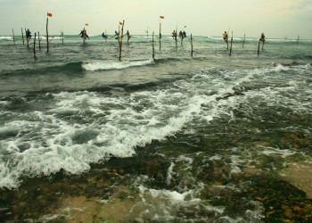 Шри-Ланка, фото № 2454 – фотографии Шри-Ланки