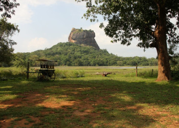 Сигирия, Шри-Ланка, фото № 52294 – фотографии Шри-Ланки