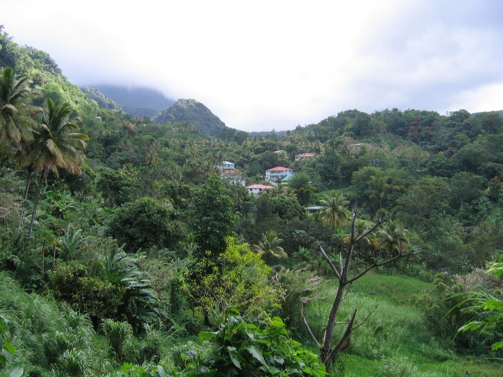 Природа Гренады (Grenada) – фотографии Гренады