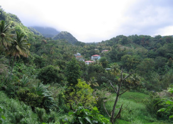 Природа Гренады (Grenada) – фотографии Гренады