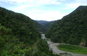 Бауаха-Сонене Национальный Парк (Bahuaja-Sonene National Park) – фотографии Перу