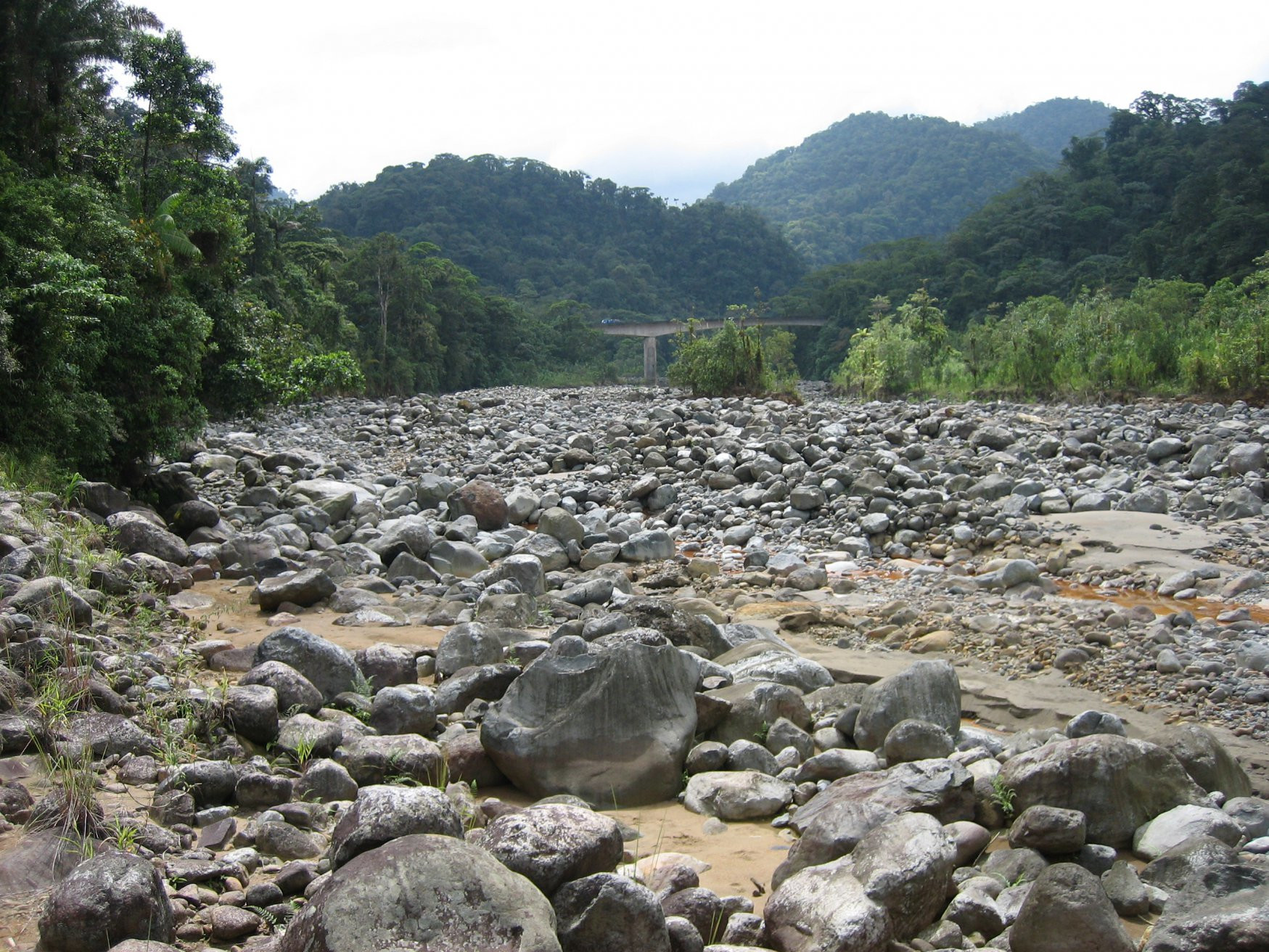 Браулио Каррильо Национальный Парк, Эредия провинция, Коста-Рика, фото № 39991 – фотографии Коста-Рики