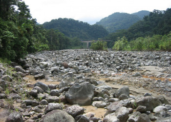 Браулио Каррильо Национальный Парк, Эредия провинция, Коста-Рика, фото № 39991 – фотографии Коста-Рики