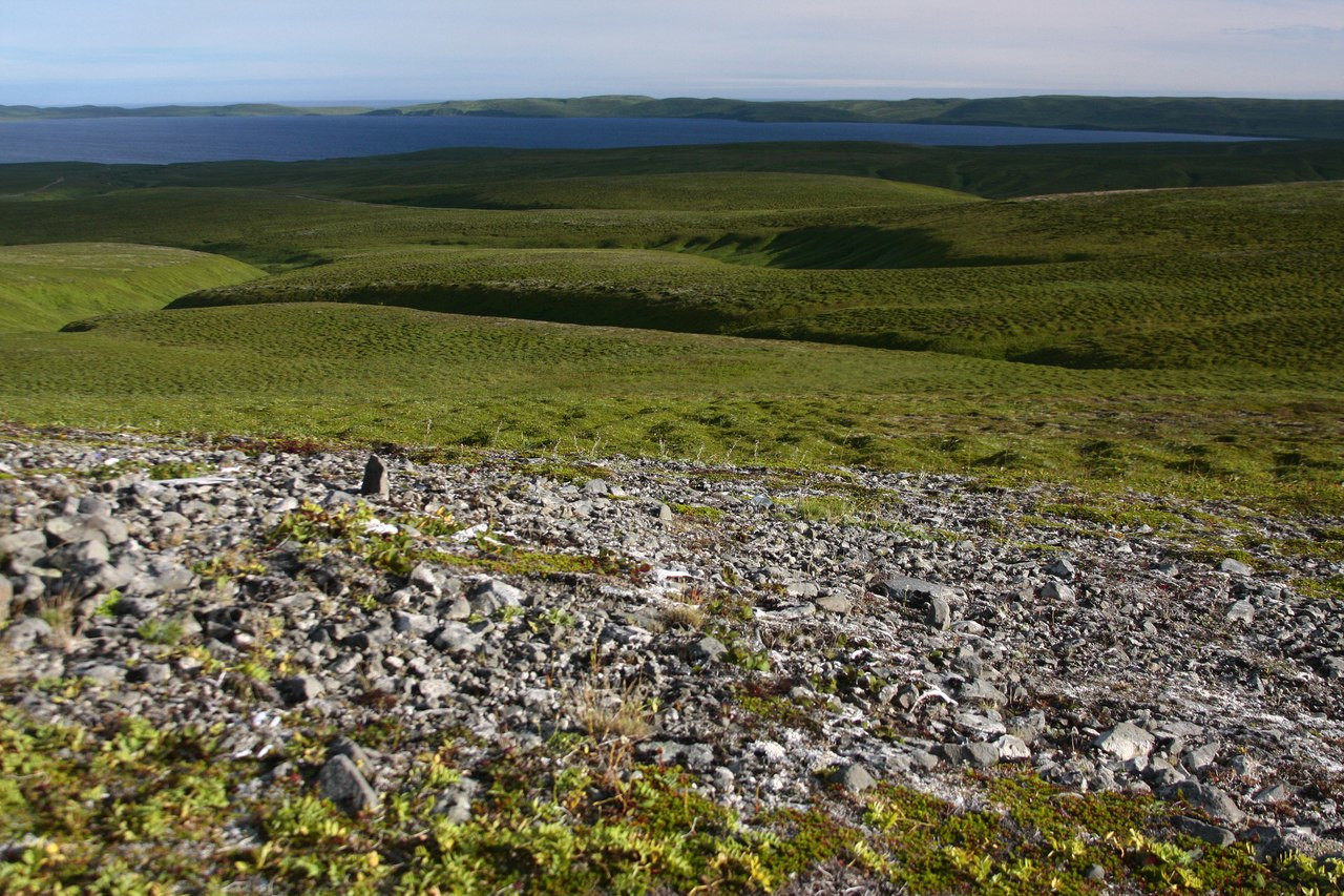 Командорские острова, Россия. Фото 11 – фотографии России