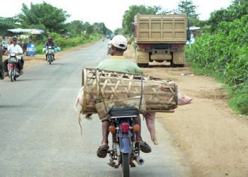 Камбоджа, фото № 5323 – фотографии Камбоджи