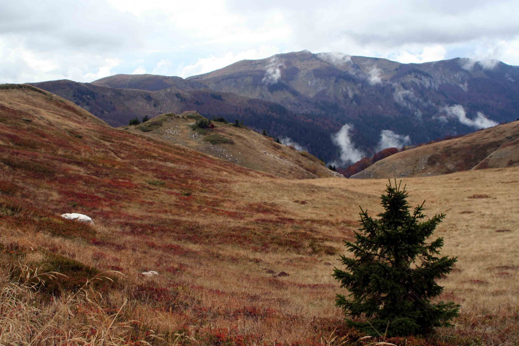 Биоградская гора, Черногория. Фото 16 – фотографии Черногории