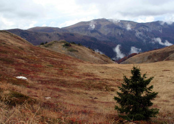 Биоградская гора, Черногория. Фото 16 – фотографии Черногории