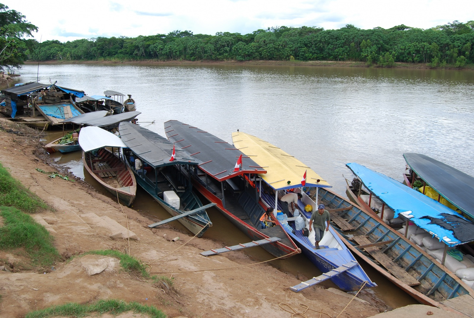 Пуэрто-Мальдонадо (Puerto Maldonado) – фотографии Перу
