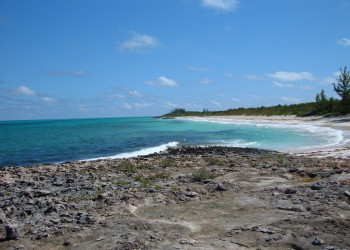 Берега на острове Эльютера, Багамские острова. Фото 12 – фотографии Багамских островов