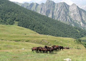 Приэльбрусье, Россия. Фото 20 – фотографии России