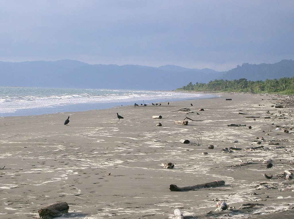 Плайа Занкудо, Пунтаренас провинция, Коста-Рика, фото № 40915 – фотографии Коста-Рики