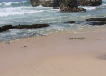 Коггала, Шри-Ланка, фото № 51555 – фотографии Шри-Ланки