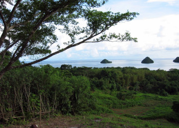 Бабелдаоб остров – фотографии Палау