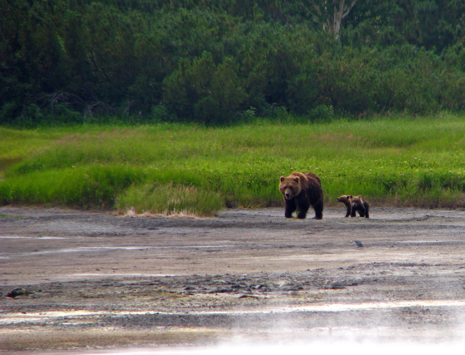 Семейство на прогулке на Камчатке – фотографии России