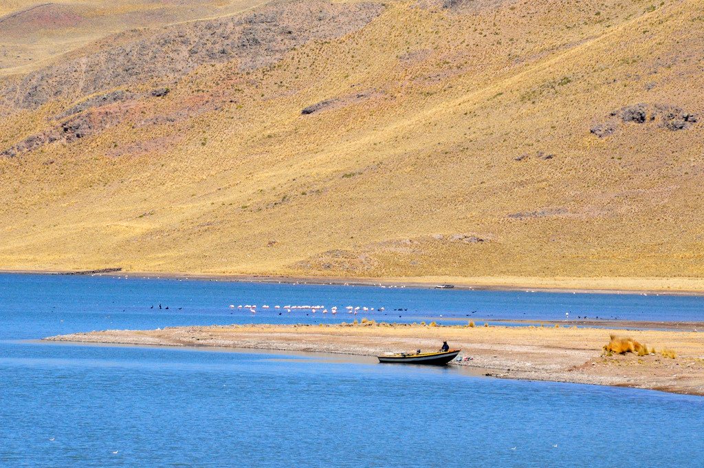 Заповедник Салинас и Агуада-Бланка – фотографии Перу