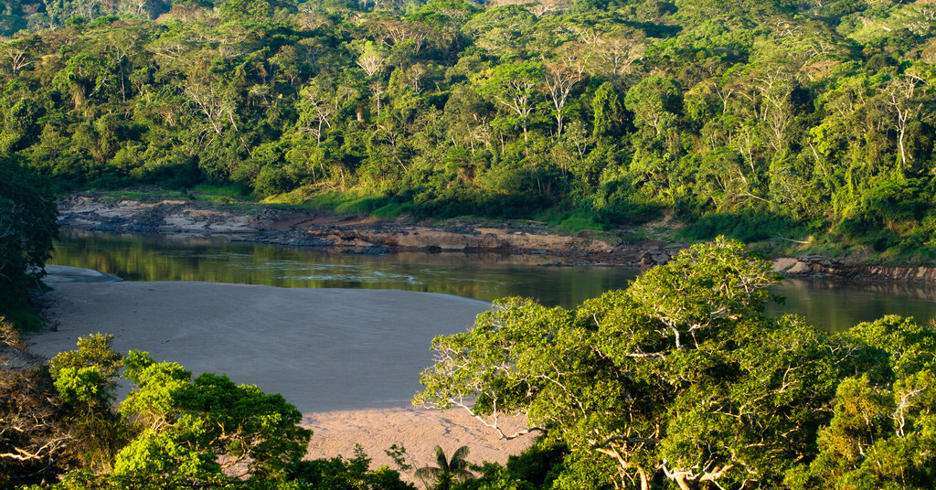 Заповедник Тамбопата (Tambopata National Reserve) – фотографии Перу