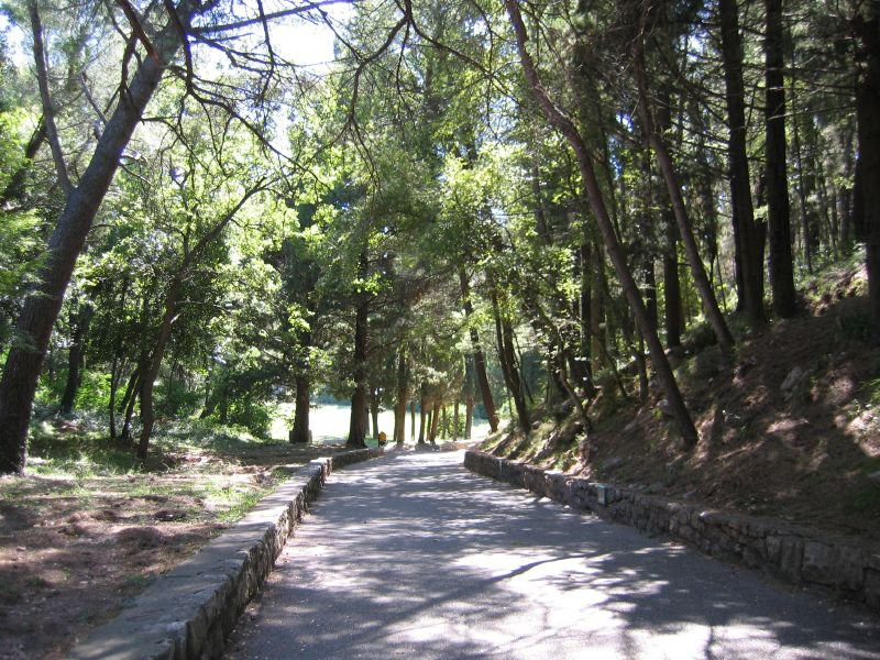 Парк в Милочер, Черногория. Фото 1 – фотографии Черногории